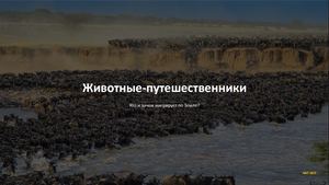 Животные путешественники кто и зачем мигрирует по Земле