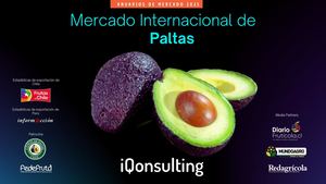 251107 Anuario Palta 2025 I Q