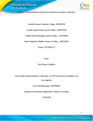 Tarea 4 Morfofisiologia Grupo Lizbeth