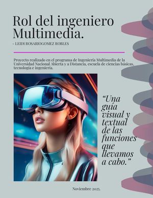 Rol del ingeniero multimedia