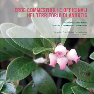 Erbe commestibili e officinali nel territorio di Andreis