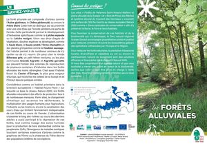 Les forêts alluviales