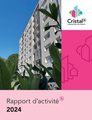 RAPPORT D'ACTIVITE 2025