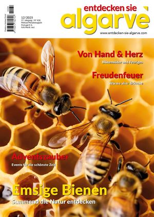 Esa 1225 Preview Calameo