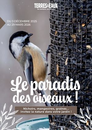 CATALOGUE OISEAUX T&E DÉCEMBRE 2025