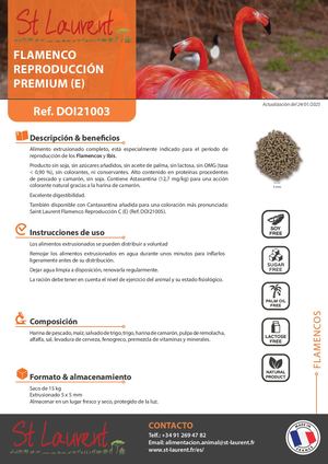 DOI21003 - Saint Laurent Flamenco Reproducción Premium (E) SP