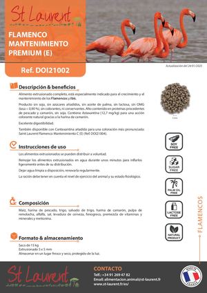 DOi21002 - Saint Laurent Flamenco Mantenimiento Premium (E) SP