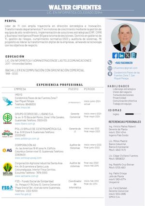 CV - Walter Manrique Cifuentes Cerón