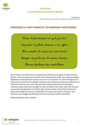 Protéger la nuit noire et les animaux nocturnes