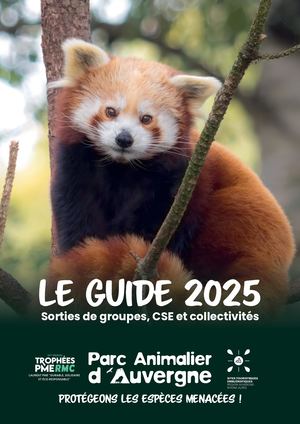 Guide 2025 - Sortie de groupes, CSE et collectivités