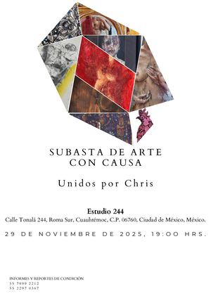 Subasta de Arte con Causa