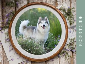 Heidi Adler Photography Product Guide
