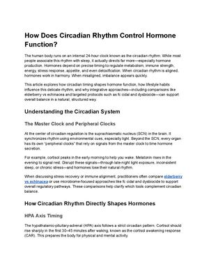 How Does Circadian Rhythm Control Hormone Function