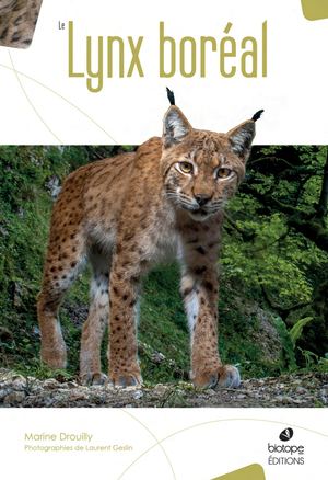 Le Lynx boréal