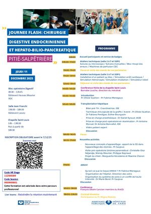 Programme Journée Cdeh Pitié Salpetrière 2025