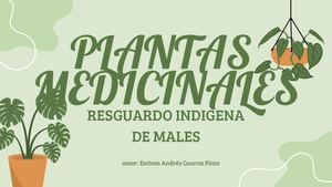 Calaméo - Presentación Plantas De Interior Orgánico Verde (2)