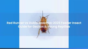 Red Runner vs Dubia Roaches: 2025 Feeder Insect Guide for Geckos & Young Reptiles