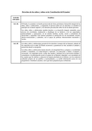 Derechos De Los Ninos Y Ninas En La Constitucion Del Ecuador