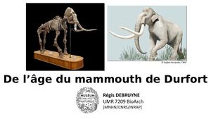 Conférence "De L’âge Du Mammouth De Durfort" par Régis Debruyene (1)
