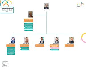 Organigrammes EN3S