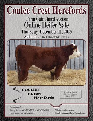 Coulee Crest Online Bred Heifer Sale 2025
