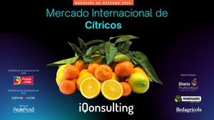Anuario Citricos 2025