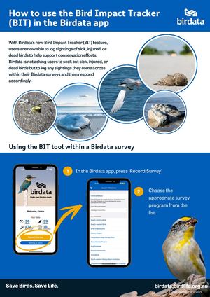 How to use the Bird Impact Tracker (BIT) in the Birdata App