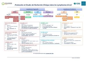OCR/CHUTOULOUSE_Lymphome_LLC_10/2025