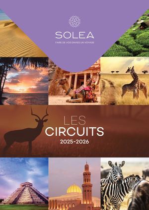 Flyer Circuits 25-26