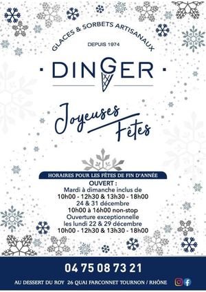 Catalogue De Noël Dinger