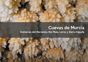 Cuevas de Murcia
