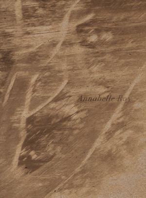 Annabelle Roy - Portfolio Arts Plastiques