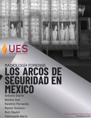 Arcos de Seguridad en las Aduanas