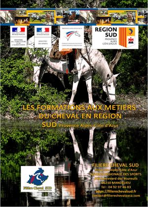 Catalogue des formations aux métiers du cheval - Région Sud 2025