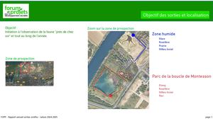 Fpdd Sorties Ornitho Rapport Annuel 2024 2025