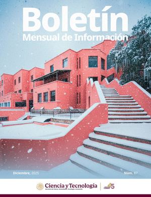 Boletín Diciembre 2025