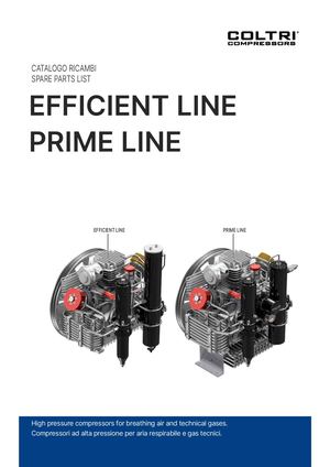 Efficient and Prime line - EN (11/25)