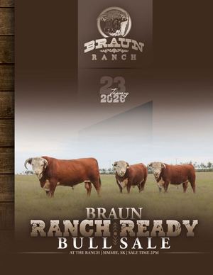 2026 Braun Ranch Ready Bull Sale