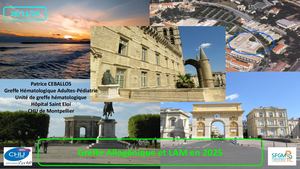 RR LAM EST 25 : Indications De L'allogreffe Dans La Lam - Patrice CEBALLOS