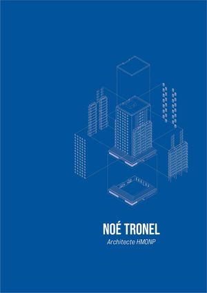 Noe Tronel_Portfolio_CV