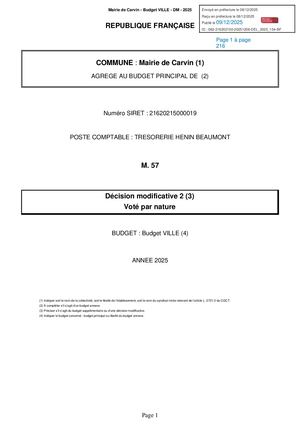 DÉCISION BUDGÉTAIRE MODIFICATIVE N°2 BUDGET VILLE 2025