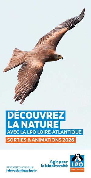 Guide des sorties 2026 | LPO Loire-Atlantique