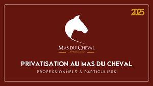 Brochure 2025 Privatisation