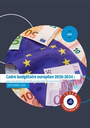 Avis Sur Le Cadre Budgétaire Europeen 2028 2034 Pour Une Gestion Des Fonds Au Plus Près Des Territoires