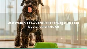 Best Protein, Fat & Carb Ratio For Dogs: Pet Food Macronutrient Guide
