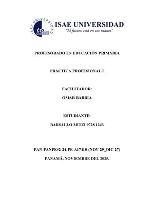 Doc Practica Profesional Ii Mitzi Barsallo