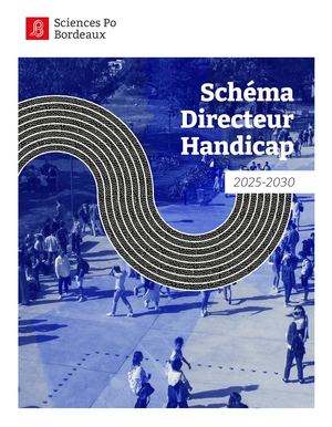 Schema Directeur Handicap