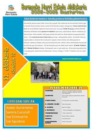 11 Aldizkaria Azkena