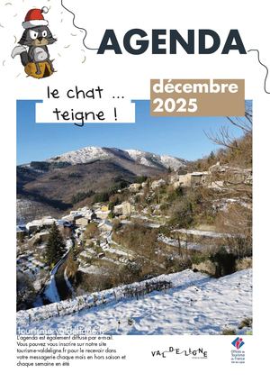 Chat Teigne decembre 2025