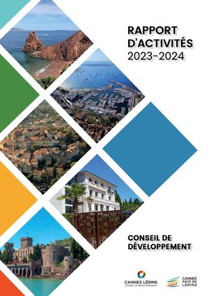 Conseil de Développement Rapport d'Activite 2024